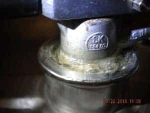 BeerCouplerGrowth (10)
