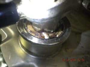 BeerCouplerGrowth (11)