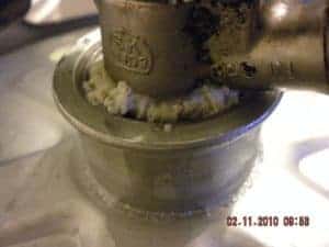 BeerGrowthCoupler