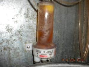 Growth inside a Craft Beer FOB