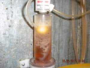 Growth inside a Craft Beer FOB 1 month after previous image