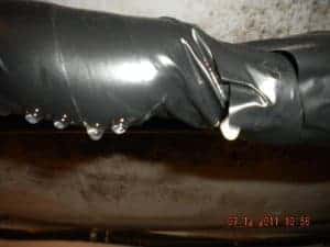 ImproperlyInsulatedTrunk