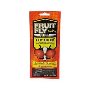 A red and orange packet labeled FRUIT FLY BarPro advertises a fly strip that kills fruit flies. The package claims round-the-clock protection for up to 4 months and features images of two flies.